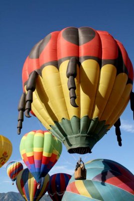 Lady Bug Over Balloons