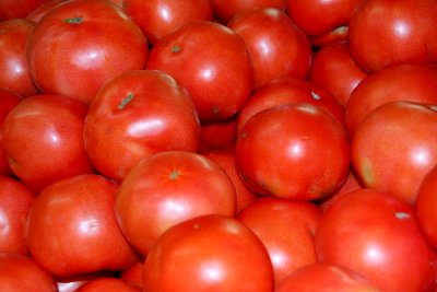 IMG8318_TOMATOES