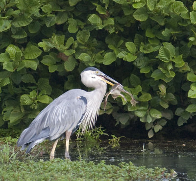 DSC_0024a.jpg