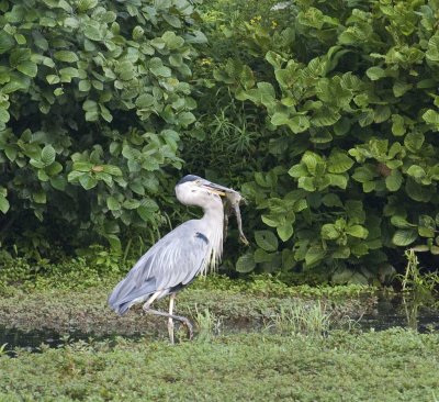 DSC_0015.jpg