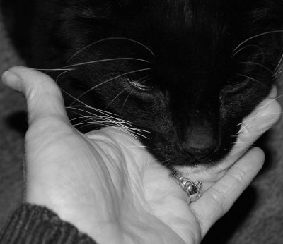 DSC_0002a.jpg