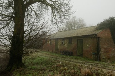Barn Owl barn