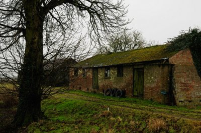Barn Owl barn