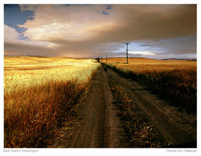 Road Through the Wheatfield