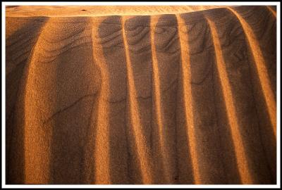 Details of Sand Dunes