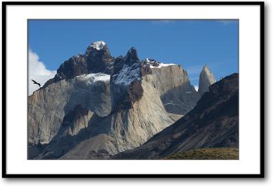 Patagonia: Condor and Cuernos del Paine