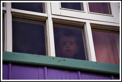 Lonely Boy in Window