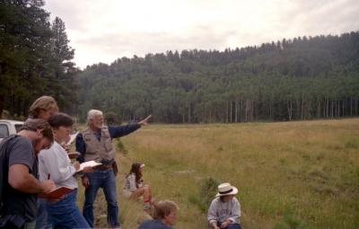 Paul Damon in the Meadow