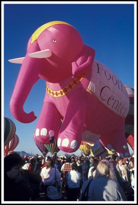 Revenge of the Pink Elephant