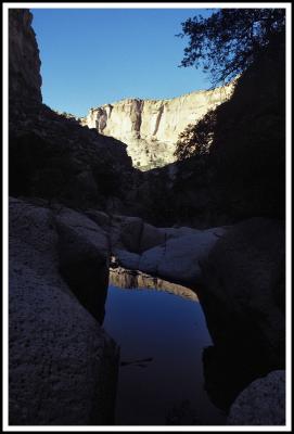 Arivaipa Canyon, Pool and Reflection.