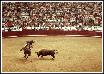 g3/02/90302/3/53502105.Horse2SLD.jpg
