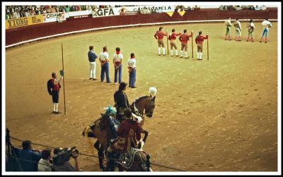 Corrida de Touros - Bull Fight