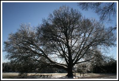 Colonial Williamsburg on ice