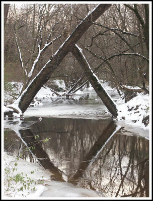 Creek, Snow and Trees