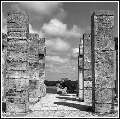 Square Carved Columns