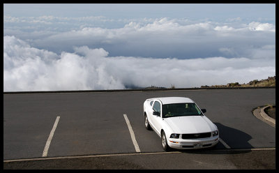Mustang above the Clouds