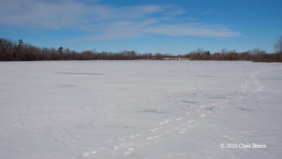 Middle of Mud Lake II