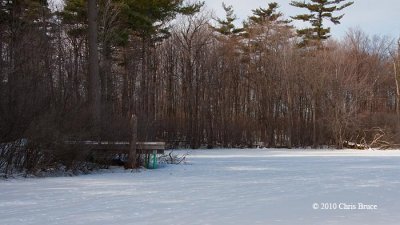 Middle of Mud Lake III