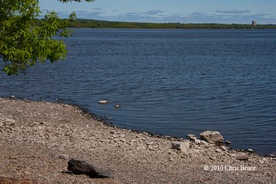 Shoreline near Mud Lake