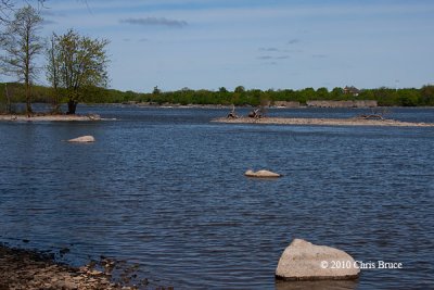 Shoreline near Mud Lake