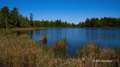 A Pond With No Name