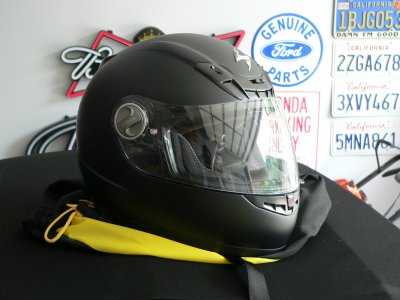 Scorpion Helmet