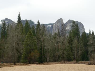 Valley Floor