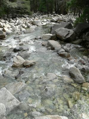Yosemite Falls Stream