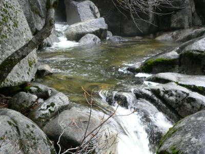 P1020313.JPG
