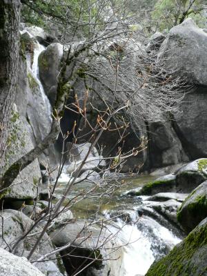 P1020315.JPG
