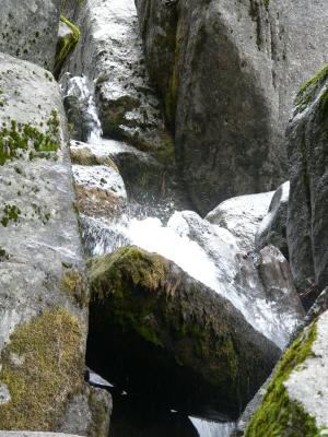 P1020316.JPG