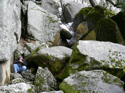 P1020318.JPG