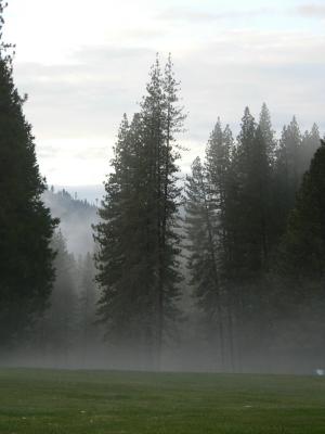 P1020255.JPG