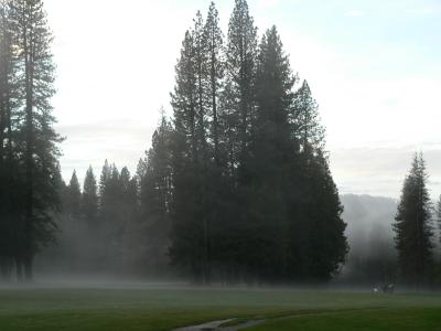 P1020265.JPG