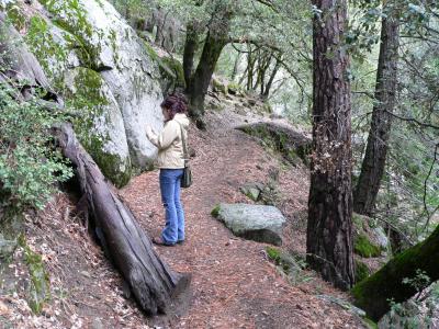 P1020280.JPG