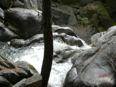 P1020293.JPG