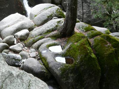 P1020297.JPG