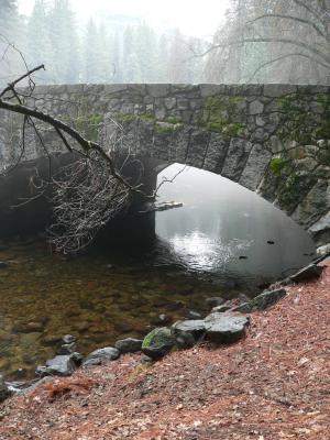 P1020184.JPG