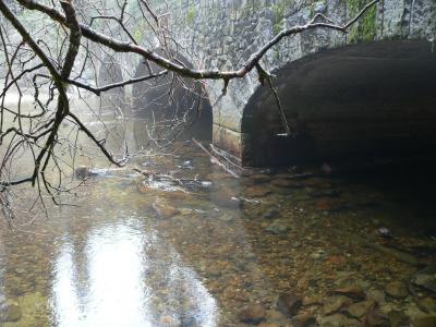 P1020191.JPG