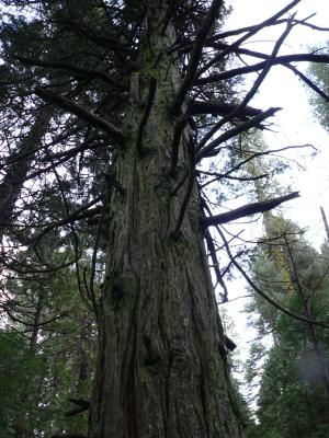 P1020241.JPG