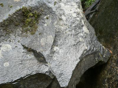 P1020147.JPG