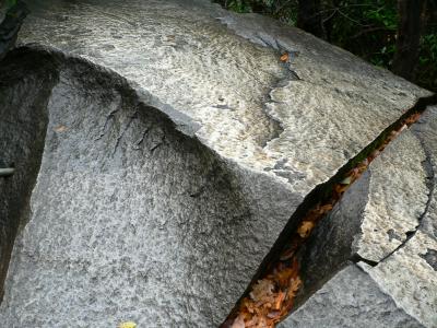 P1020148.JPG