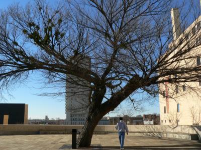 Alfred P. Murrah Building (bombing site)