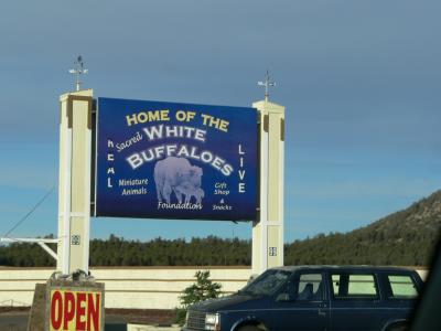 Home of the White Buffalos