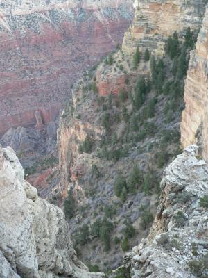 Grand Canyon at Sunset