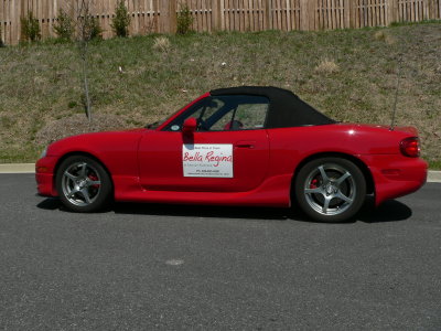 Bella Regina Car Magnet