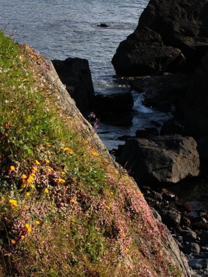 On the Cliffside