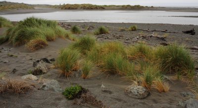 Mouth of Pistol river IV