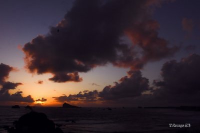Sunset on North Ca. Pacific Coast