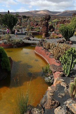 Cactus Garden